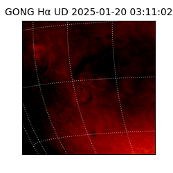 gong - 2025-01-20T03:11:02