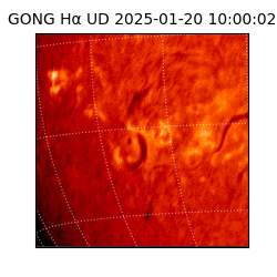 gong - 2025-01-20T10:00:02