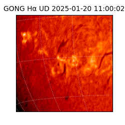 gong - 2025-01-20T11:00:02