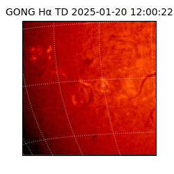 gong - 2025-01-20T12:00:22