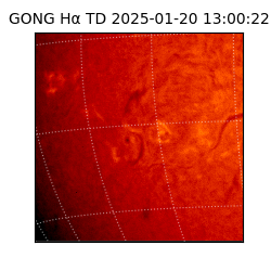 gong - 2025-01-20T13:00:22