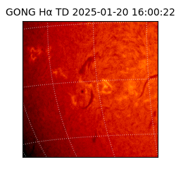 gong - 2025-01-20T16:00:22