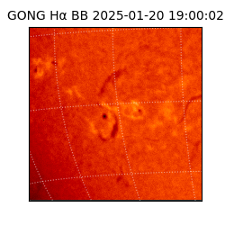 gong - 2025-01-20T19:00:02