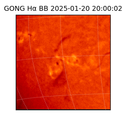 gong - 2025-01-20T20:00:02