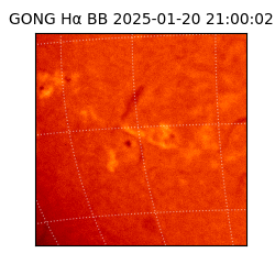 gong - 2025-01-20T21:00:02