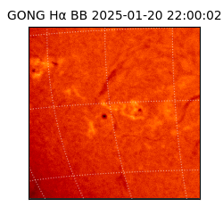 gong - 2025-01-20T22:00:02