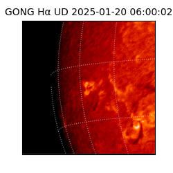 gong - 2025-01-20T06:00:02