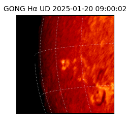 gong - 2025-01-20T09:00:02