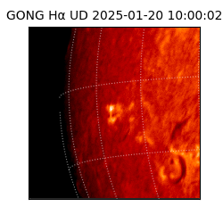 gong - 2025-01-20T10:00:02