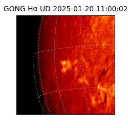 gong - 2025-01-20T11:00:02