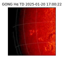 gong - 2025-01-20T17:00:22