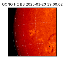 gong - 2025-01-20T19:00:02