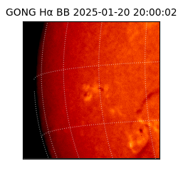gong - 2025-01-20T20:00:02