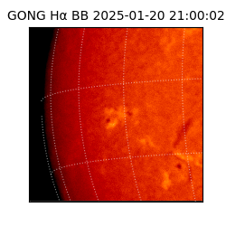 gong - 2025-01-20T21:00:02