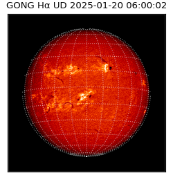 gong - 2025-01-20T06:00:02