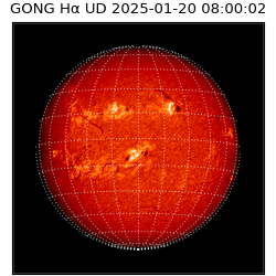 gong - 2025-01-20T08:00:02