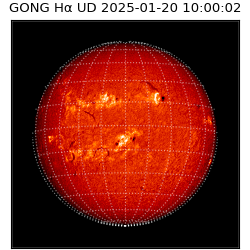 gong - 2025-01-20T10:00:02