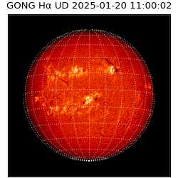 gong - 2025-01-20T11:00:02