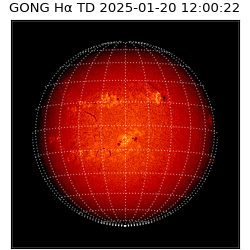 gong - 2025-01-20T12:00:22