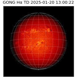 gong - 2025-01-20T13:00:22