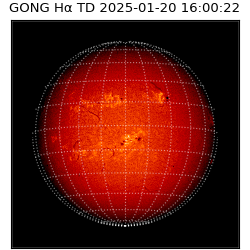 gong - 2025-01-20T16:00:22