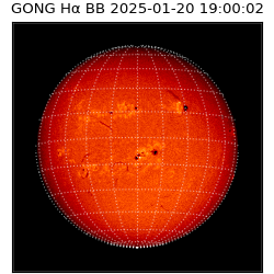gong - 2025-01-20T19:00:02