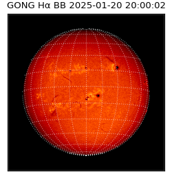 gong - 2025-01-20T20:00:02