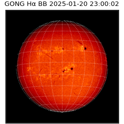 gong - 2025-01-20T23:00:02