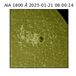 saia - 2025-01-21T08:00:14.126000