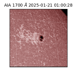 saia - 2025-01-21T01:00:28.718000