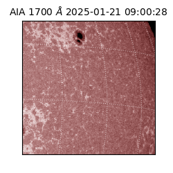 saia - 2025-01-21T09:00:28.718000