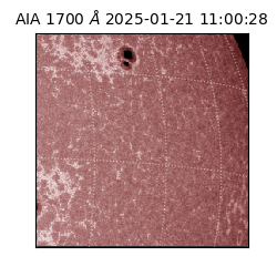 saia - 2025-01-21T11:00:28.721000