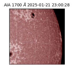 saia - 2025-01-21T23:00:28.717000