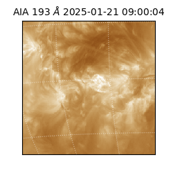 saia - 2025-01-21T09:00:04.843000
