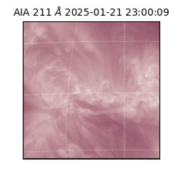 saia - 2025-01-21T23:00:09.638000