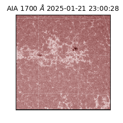 saia - 2025-01-21T23:00:28.717000