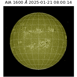 saia - 2025-01-21T08:00:14.126000