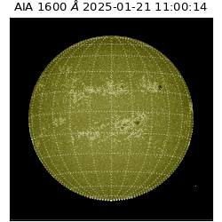 saia - 2025-01-21T11:00:14.129000