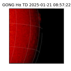 gong - 2025-01-21T08:57:22