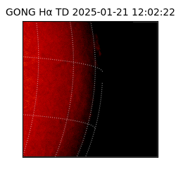 gong - 2025-01-21T12:02:22