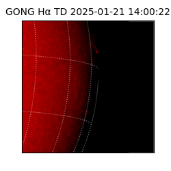 gong - 2025-01-21T14:00:22