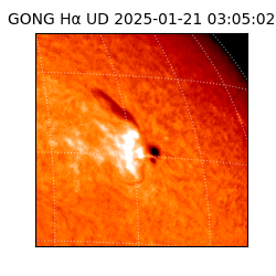 gong - 2025-01-21T03:05:02