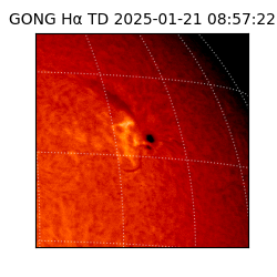 gong - 2025-01-21T08:57:22