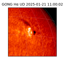 gong - 2025-01-21T11:00:02