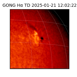 gong - 2025-01-21T12:02:22