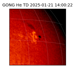 gong - 2025-01-21T14:00:22