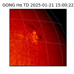 gong - 2025-01-21T15:00:22