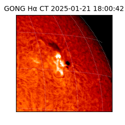 gong - 2025-01-21T18:00:42