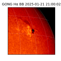 gong - 2025-01-21T21:00:02