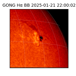 gong - 2025-01-21T22:00:02